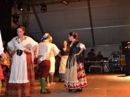 Festival de Folkore en Mula